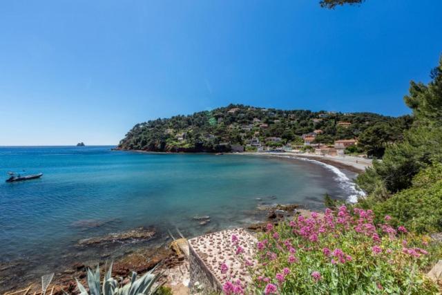 Appartement "Le Fabregas" 4 Pers Vue Mer La Seyne-sur-Mer Exterior photo